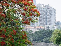 -东山湖公园