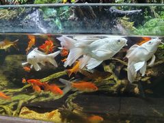 -太平洋海底世界