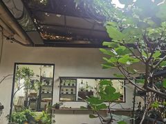 -植觉
