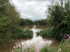 -西昌邛海湿地