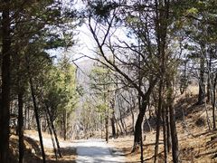 -妙峰山风景名胜区