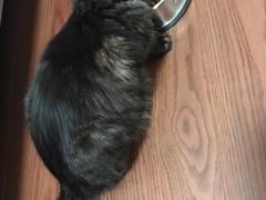 -天津前进宠物医院(前进道店)