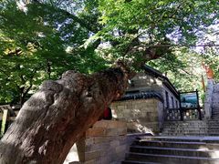 -青岛崂山太清宫