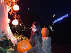 -七彩云南欢乐世界