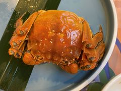 大闸蟹-点都德(北京路贰店)