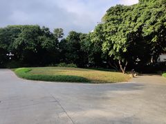 -荔枝公园(福田区)