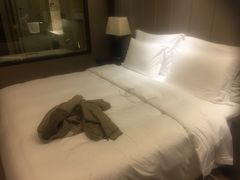 -深圳福青龙华天假日酒店