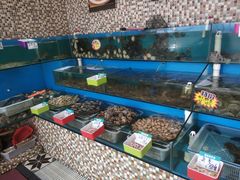 -港畔赶海蒸汽海鲜烧烤自助(仙螺岛店)