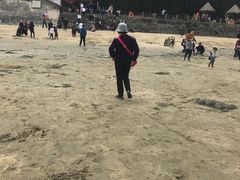 -北海金海湾红树林生态旅游区