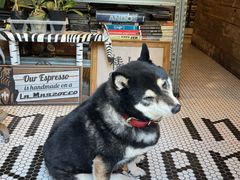 -大水的店(昙华林店)