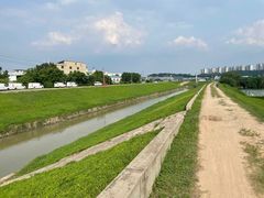 -广东花都湖国家湿地公园
