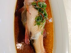 东星斑-麟1929(外滩店)