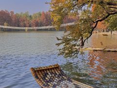 -东湖落雁景区