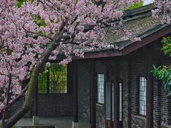 -武汉园博园(武汉自然博物馆)