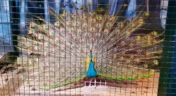 -酷嗒动物文化乐园(cutezoo西溪乐天城店)