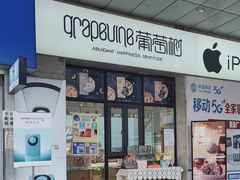 -葡萄树蛋糕(友好店)