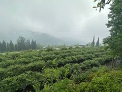 -太阳湾风景区