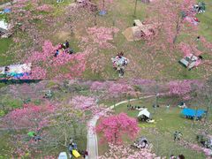 -风云岭森林公园