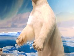 -陕西自然博物馆