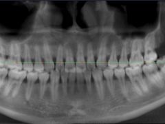 -泰康拜博口腔(凯迪大厦店)
