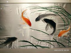 -四川博物院