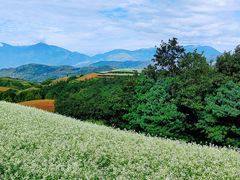 -红土地风景区