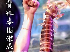 -辉记炭烧海鲜大排档·老字号(福田店)