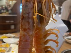 -阳光岛·海鲜盛宴(银泰中心in99店)