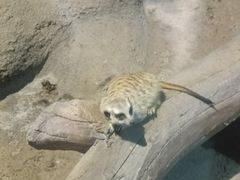 -苏州海洋馆