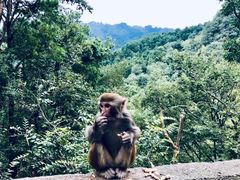 -黔灵山公园