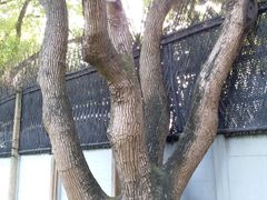 -上海宋庆龄故居纪念馆