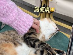 -Jeans Coffee牛仔裤咖啡