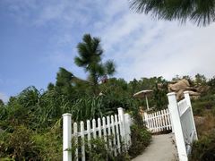 -那琴半岛地质海洋公园