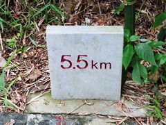 -羚羊峡古栈道森林公园