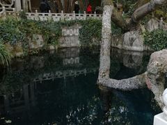 -蝴蝶泉公园