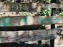 -寂照庵