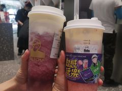 -LELECHA乐乐茶(新街口大洋店)