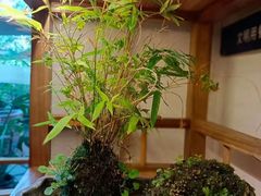 -往来·竹里.宝宝宴.生日宴.团建.宴席(花乡农居店)