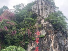 -星湖旅游景区七星岩