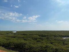 -北海金海湾红树林生态旅游区
