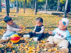 -羊亭河湿地公园