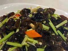 -大雄九老菜馆(南门桥店)