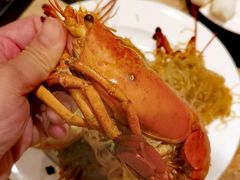 -怡聚轩全日制自助餐厅(大中华喜来登酒店)
