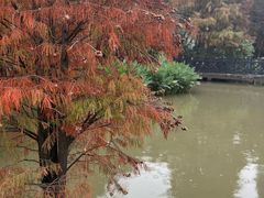 -海珠湖公园