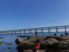 -黑石礁公园