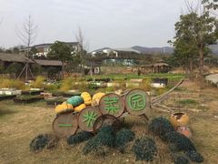 -石塘人家