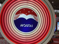 -武汉国际博览中心-B4馆