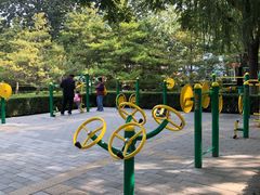 -莲花池公园