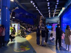 -烟台海昌鲸鲨海洋公园