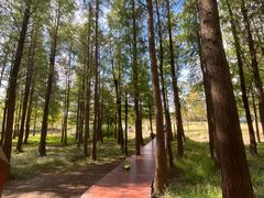 -上海浦江郊野公园-3号停车场